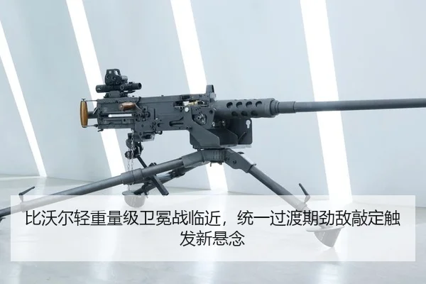bi-wo-er-qing-zhong-liang-ji-wei-mian-zhan-lin-jin-tong-yi-guo-du-qi-jing-di-qiao-ding-chu-fa-xin-xuan-nian-2-128.jpg