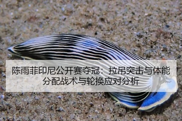 chen-yu-fei-yin-ni-gong-kai-sai-duo-guan-la-diao-tu-ji-yu-ti-neng-fen-pei-zhan-shu-yu-lun-huan-ying-dui-fen-xi-3-572.jpg